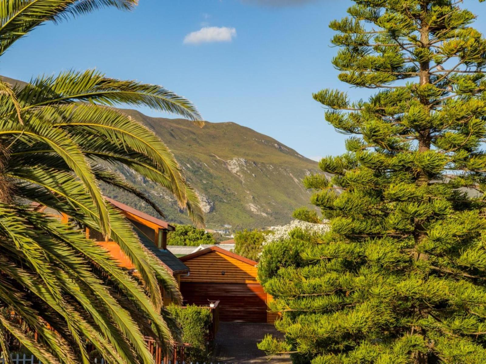Two Palm House - Vermont Hermanus Room photo