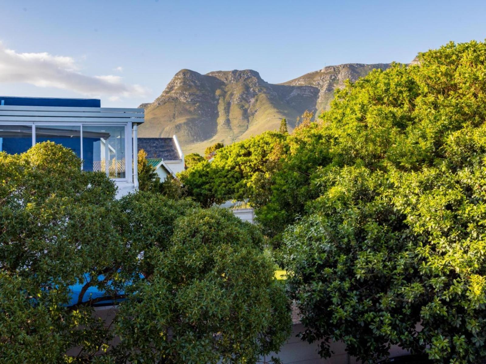 Two Palm House - Vermont Hermanus Room photo