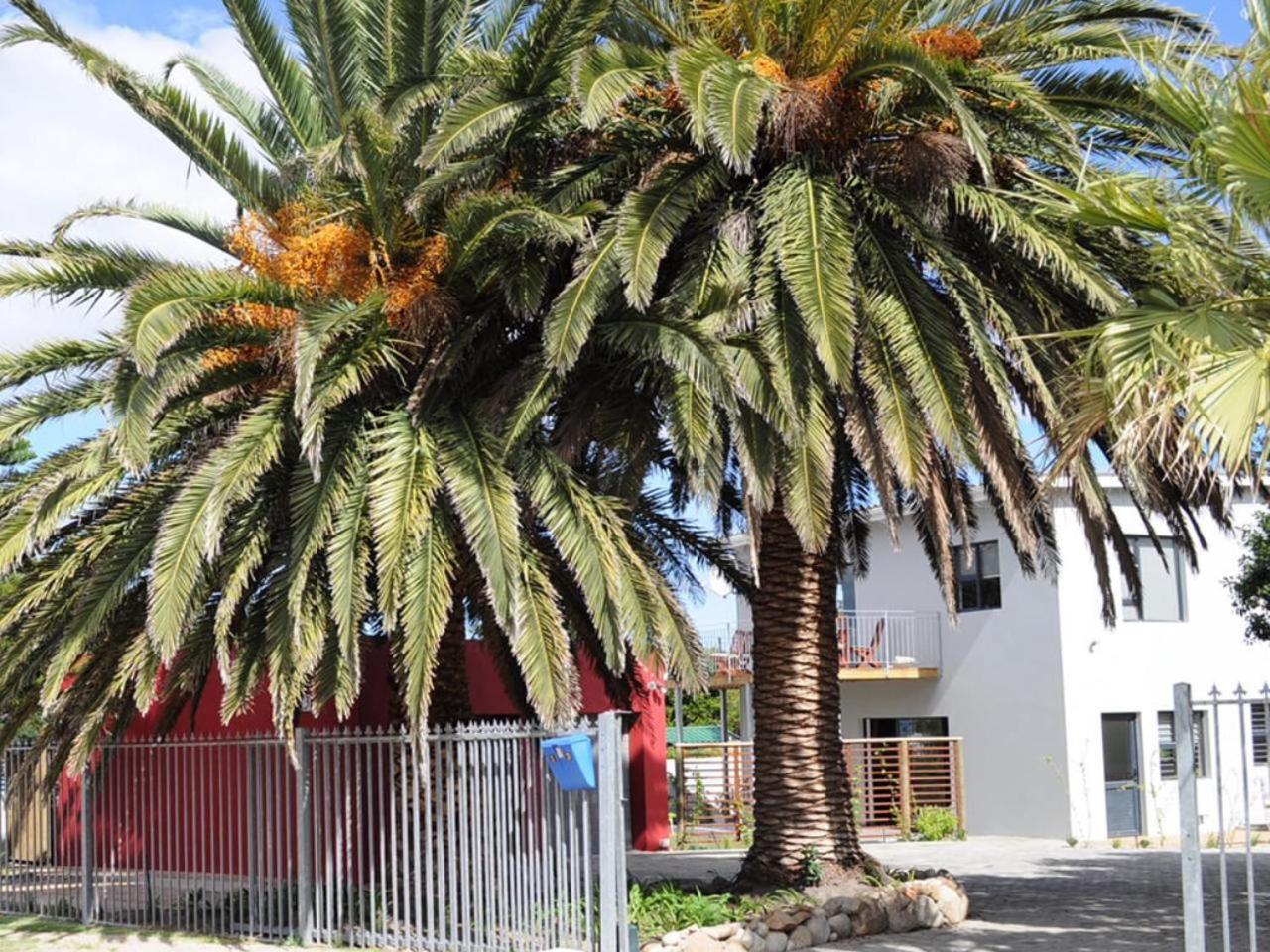 Two Palm House - Vermont Hermanus Exterior photo